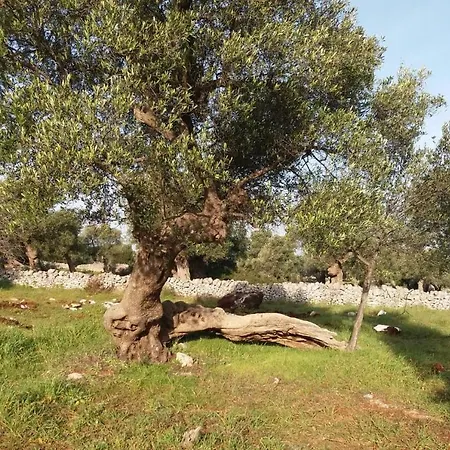 Palazzotto Settecentesco In Centro Storico * Ostuni