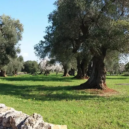 Palazzotto Settecentesco In Centro Storico Lejlighed Ostuni